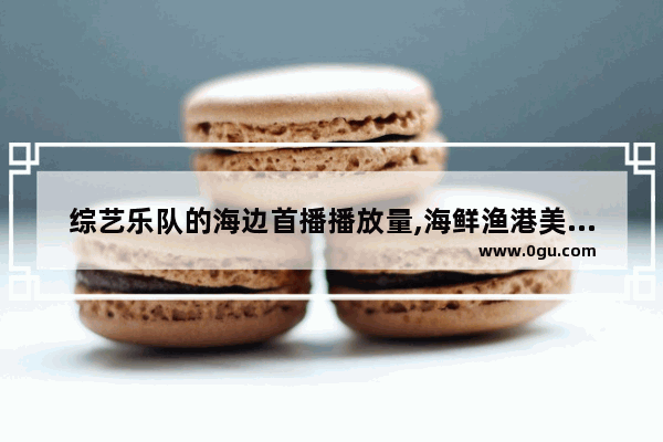 综艺乐队的海边首播播放量,海鲜渔港美食街加盟多少钱