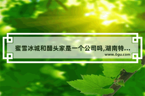 蜜雪冰城和醋头家是一个公司吗,湖南特色美食招商加盟品牌