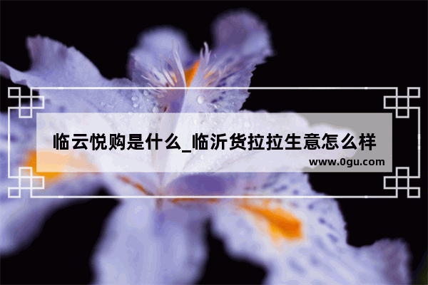 临云悦购是什么_临沂货拉拉生意怎么样