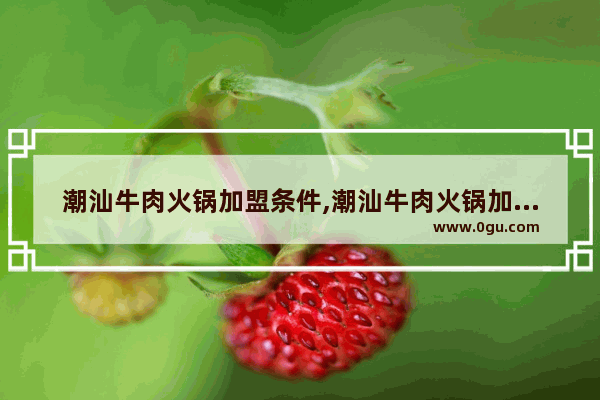 潮汕牛肉火锅加盟条件,潮汕牛肉火锅加盟条件