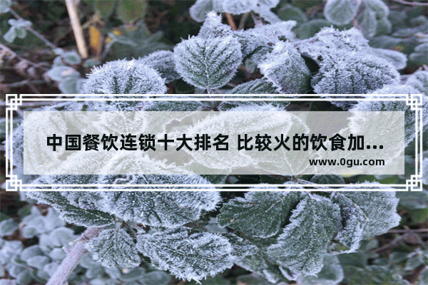 中国餐饮连锁十大排名 比较火的饮食加盟店排行榜