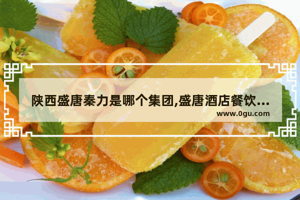 陕西盛唐秦力是哪个集团,盛唐酒店餐饮如何加盟