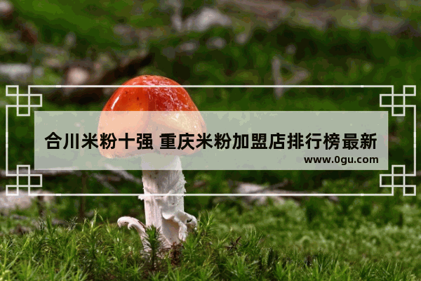 合川米粉十强 重庆米粉加盟店排行榜最新