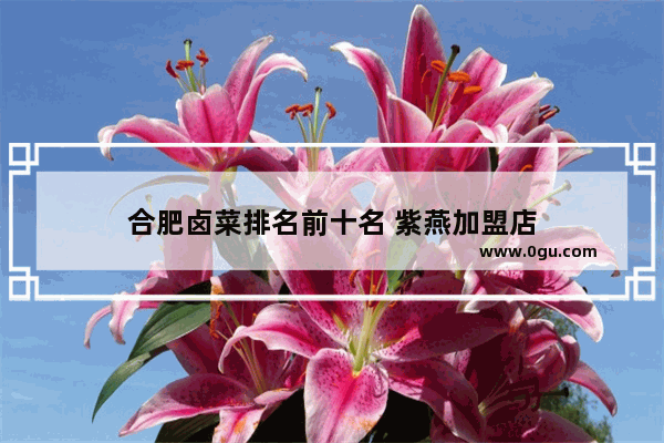 合肥卤菜排名前十名 紫燕加盟店