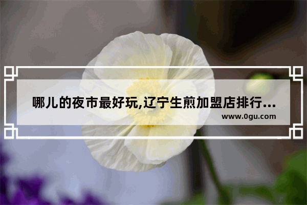 哪儿的夜市最好玩,辽宁生煎加盟店排行榜前十
