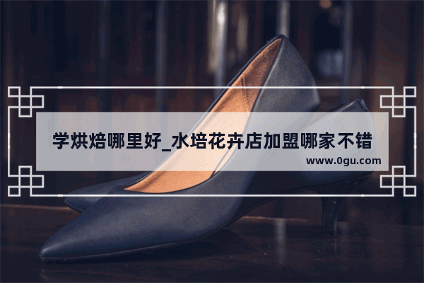 学烘焙哪里好_水培花卉店加盟哪家不错