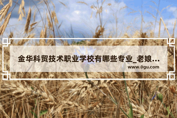 金华科贸技术职业学校有哪些专业_老娘舅加盟费多少