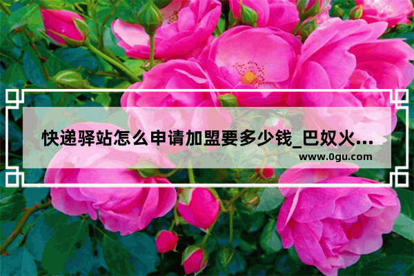 快递驿站怎么申请加盟要多少钱_巴奴火锅发展史