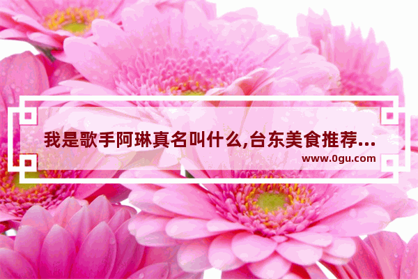 我是歌手阿琳真名叫什么,台东美食推荐小吃加盟