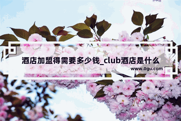 酒店加盟得需要多少钱_club酒店是什么牌子