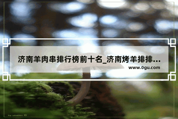 济南羊肉串排行榜前十名_济南烤羊排排名山大北路附近
