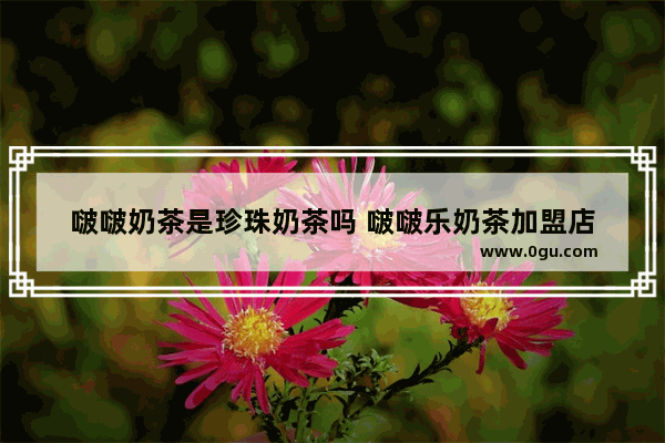啵啵奶茶是珍珠奶茶吗 啵啵乐奶茶加盟店
