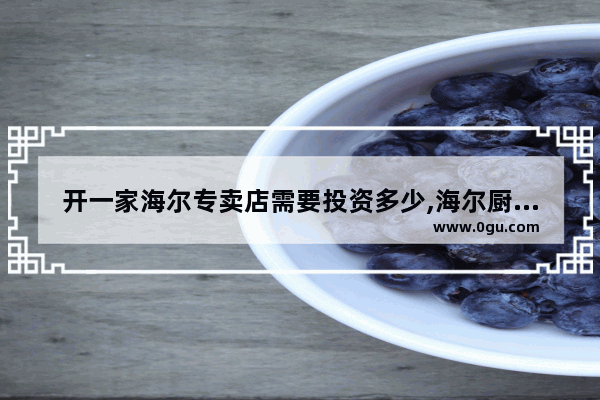 开一家海尔专卖店需要投资多少,海尔厨柜加盟
