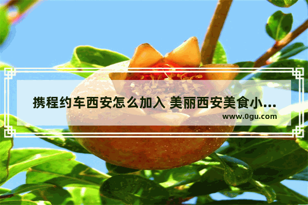 携程约车西安怎么加入 美丽西安美食小吃零食加盟
