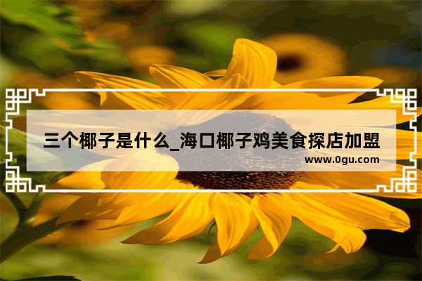 三个椰子是什么_海口椰子鸡美食探店加盟