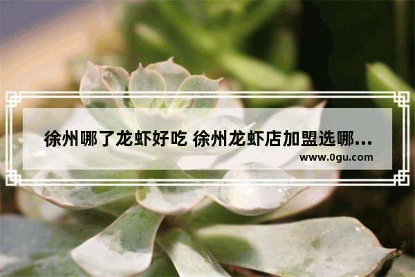 徐州哪了龙虾好吃 徐州龙虾店加盟选哪家品牌