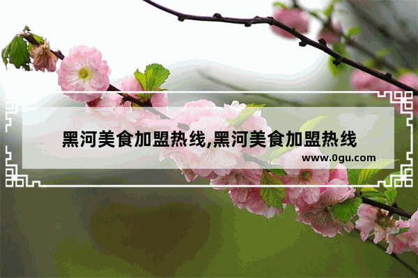 黑河美食加盟热线,黑河美食加盟热线