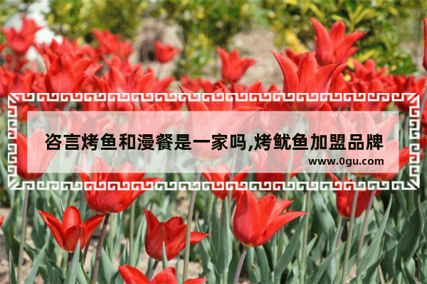 咨言烤鱼和漫餐是一家吗,烤鱿鱼加盟品牌
