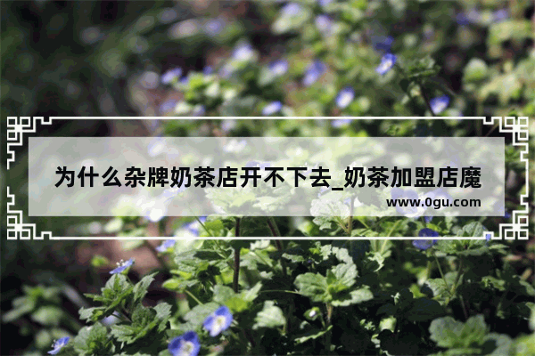 为什么杂牌奶茶店开不下去_奶茶加盟店魔