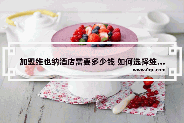 加盟维也纳酒店需要多少钱 如何选择维也纳酒店加盟