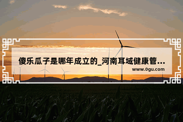 傻乐瓜子是哪年成立的_河南耳域健康管理有限公司是正规的吗