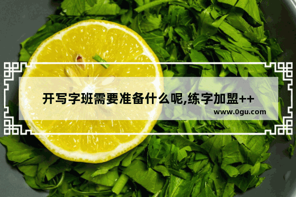 开写字班需要准备什么呢,练字加盟++