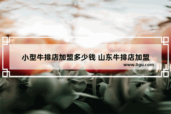小型牛排店加盟多少钱 山东牛排店加盟