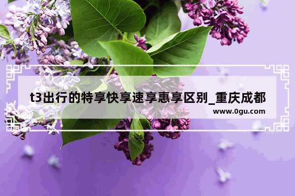 t3出行的特享快享速享惠享区别_重庆成都加盟店推荐美食