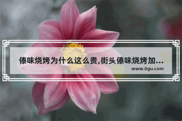 傣味烧烤为什么这么贵,街头傣味烧烤加盟店排行榜
