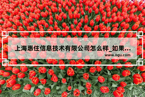 上海惠住信息技术有限公司怎么样_如果岁月可回头上官慧和蓝天愚大结局