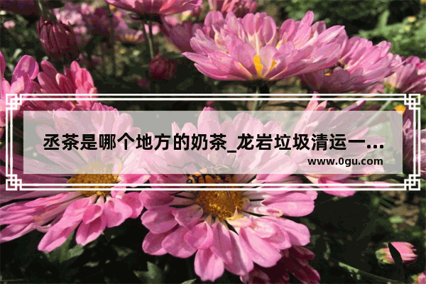 丞茶是哪个地方的奶茶_龙岩垃圾清运一个月多少钱