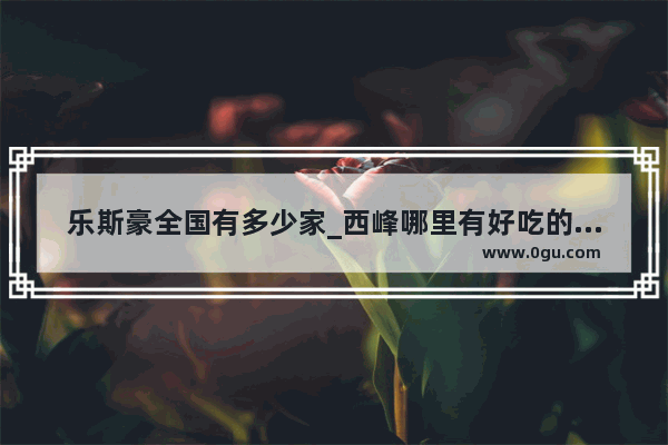 乐斯豪全国有多少家_西峰哪里有好吃的麻辣香锅