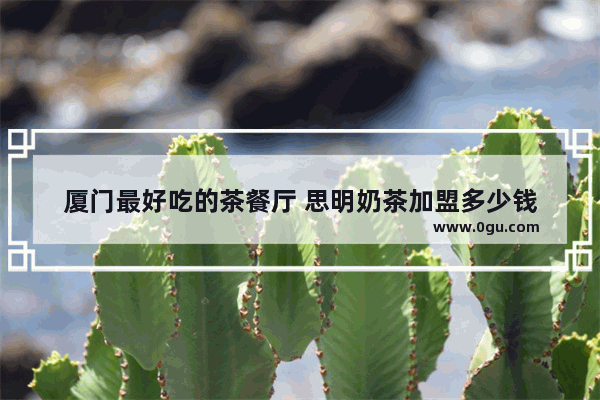 厦门最好吃的茶餐厅 思明奶茶加盟多少钱