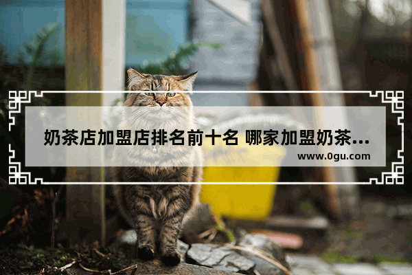 奶茶店加盟店排名前十名 哪家加盟奶茶店好