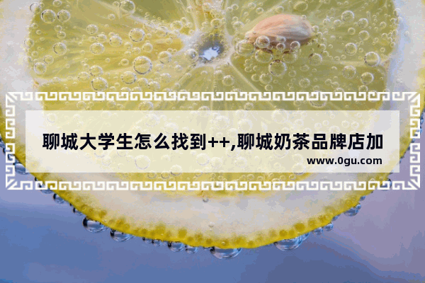 聊城大学生怎么找到++,聊城奶茶品牌店加盟
