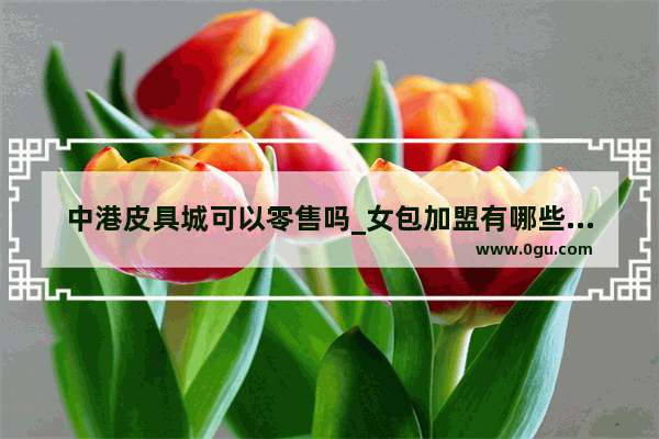 中港皮具城可以零售吗_女包加盟有哪些品牌