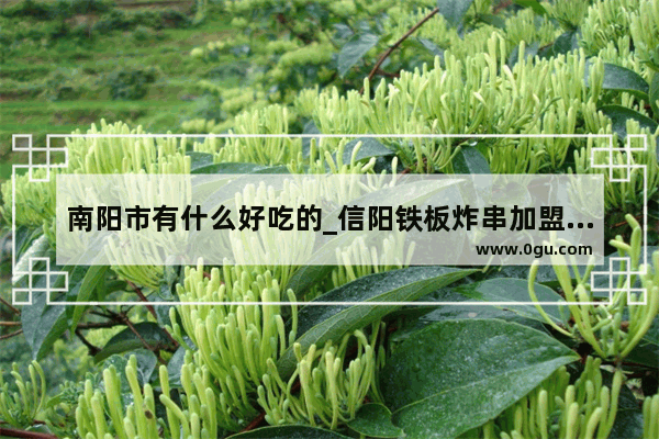 南阳市有什么好吃的_信阳铁板炸串加盟店排行榜