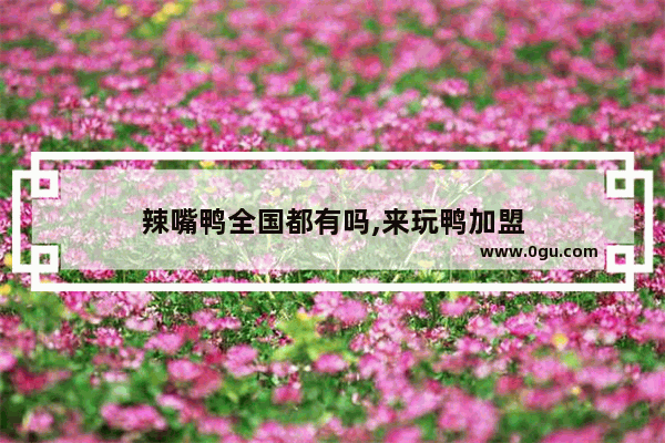 辣嘴鸭全国都有吗,来玩鸭加盟