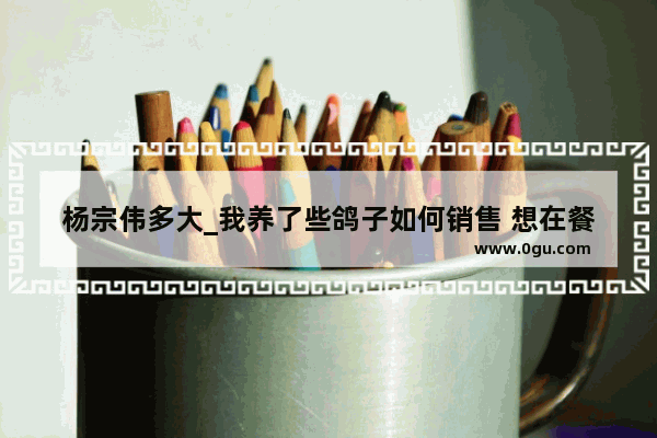 杨宗伟多大_我养了些鸽子如何销售 想在餐饮这方面发展 指教
