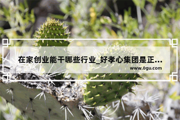 在家创业能干哪些行业_好孝心集团是正规公司吗