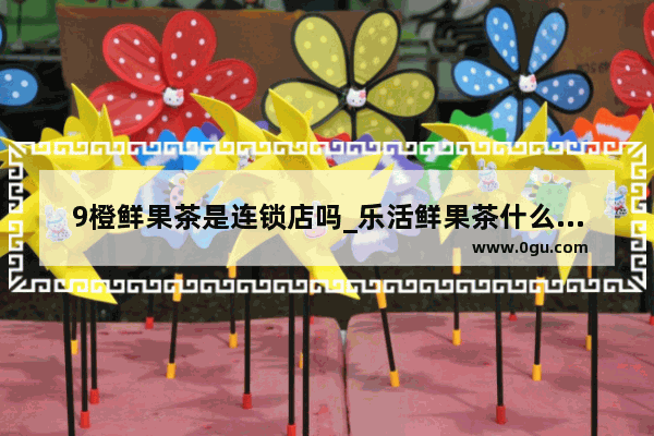 9橙鲜果茶是连锁店吗_乐活鲜果茶什么好喝