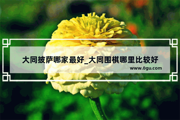 大同披萨哪家最好_大同围棋哪里比较好
