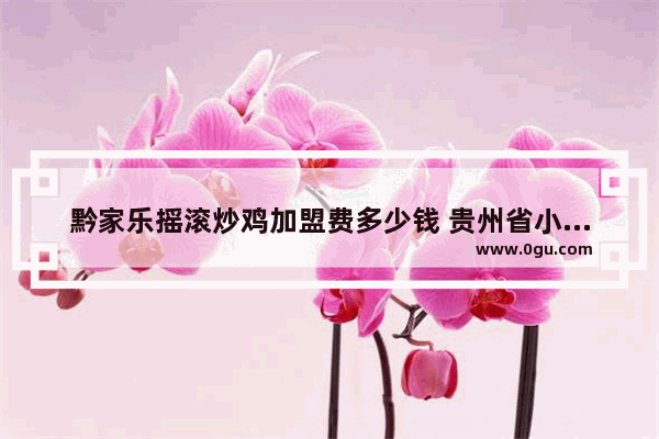 黔家乐摇滚炒鸡加盟费多少钱 贵州省小吃加盟价格多少