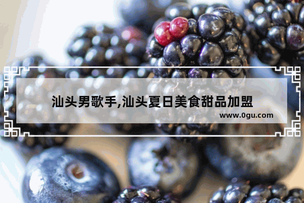 汕头男歌手,汕头夏日美食甜品加盟