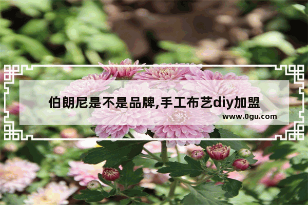 伯朗尼是不是品牌,手工布艺diy加盟