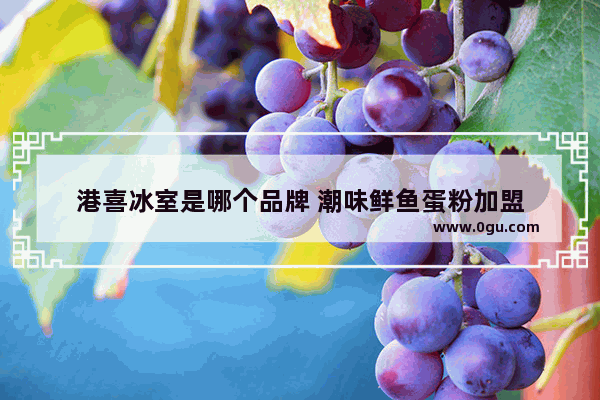 港喜冰室是哪个品牌 潮味鲜鱼蛋粉加盟
