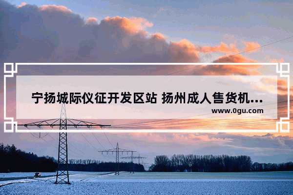 宁扬城际仪征开发区站 扬州成人售货机加盟品牌