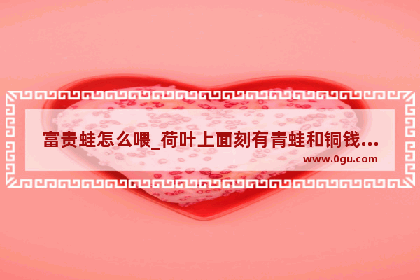 富贵蛙怎么喂_荷叶上面刻有青蛙和铜钱叫什么