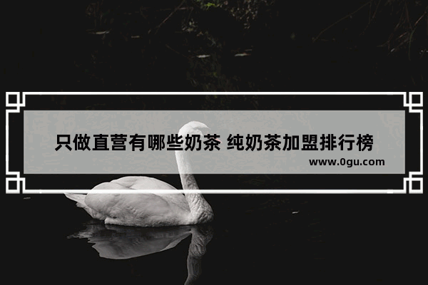 只做直营有哪些奶茶 纯奶茶加盟排行榜