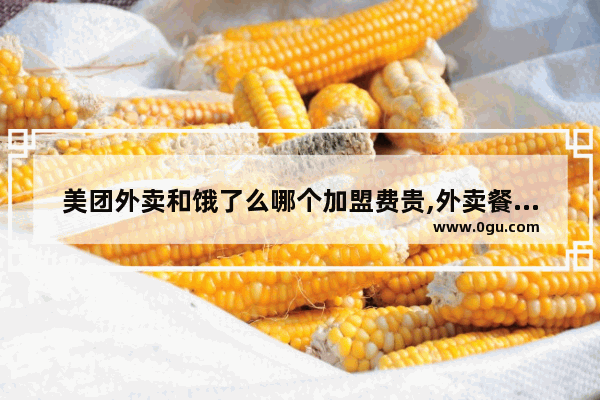 美团外卖和饿了么哪个加盟费贵,外卖餐饮加盟店推荐